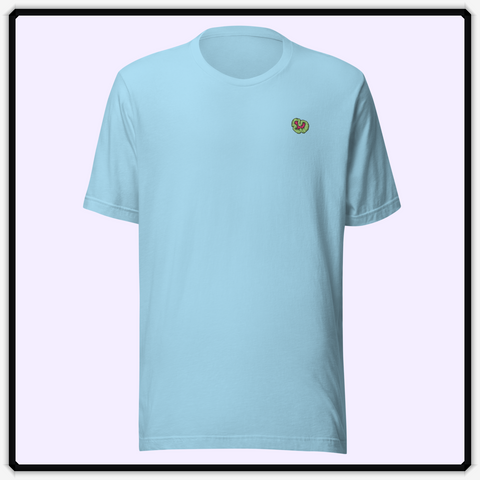 Dan's Coral Shirt Two