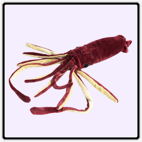 Dan's Squid Plush