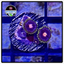 Blue Hornet Zoanthid Frag WYSIWYG 1