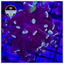 Dark Knight Hammer Frag WYSIWYG 1