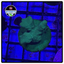 Green Psammocora Frag WYSIWYG 1