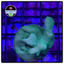 Green Psammocora Frag WYSIWYG 1