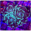 Hotshot Hammer Frag WYSIWYG 1