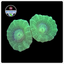 Kryptonite Candy Cane Frag WYSIWYG 1