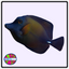 Scopas Tang