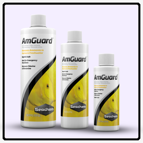 AmGuard™